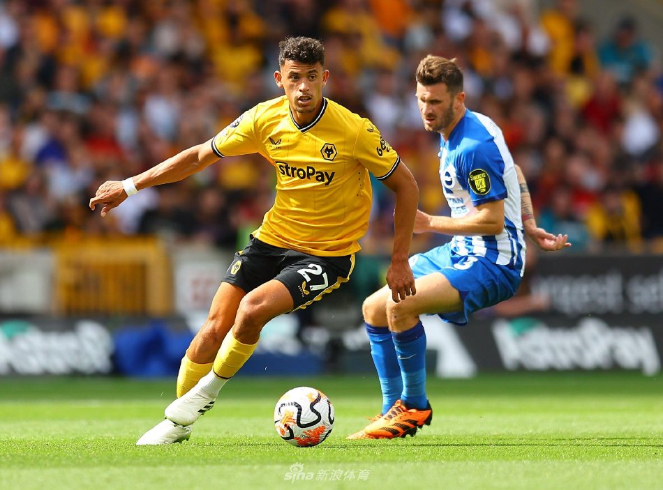 他的福星效 他的福星效